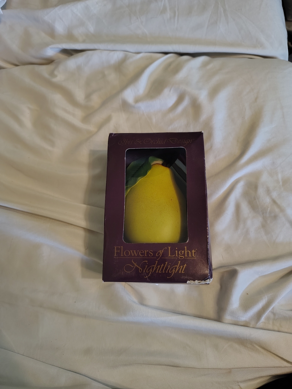 Vintage Cottagecore Grandmacore Farmhouse Country Cottage Pear Shape Night Light